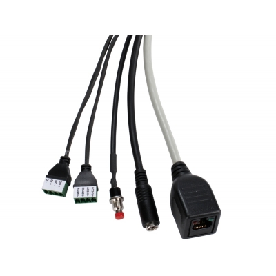 D-Link DCS-7110, Power over Ethernet